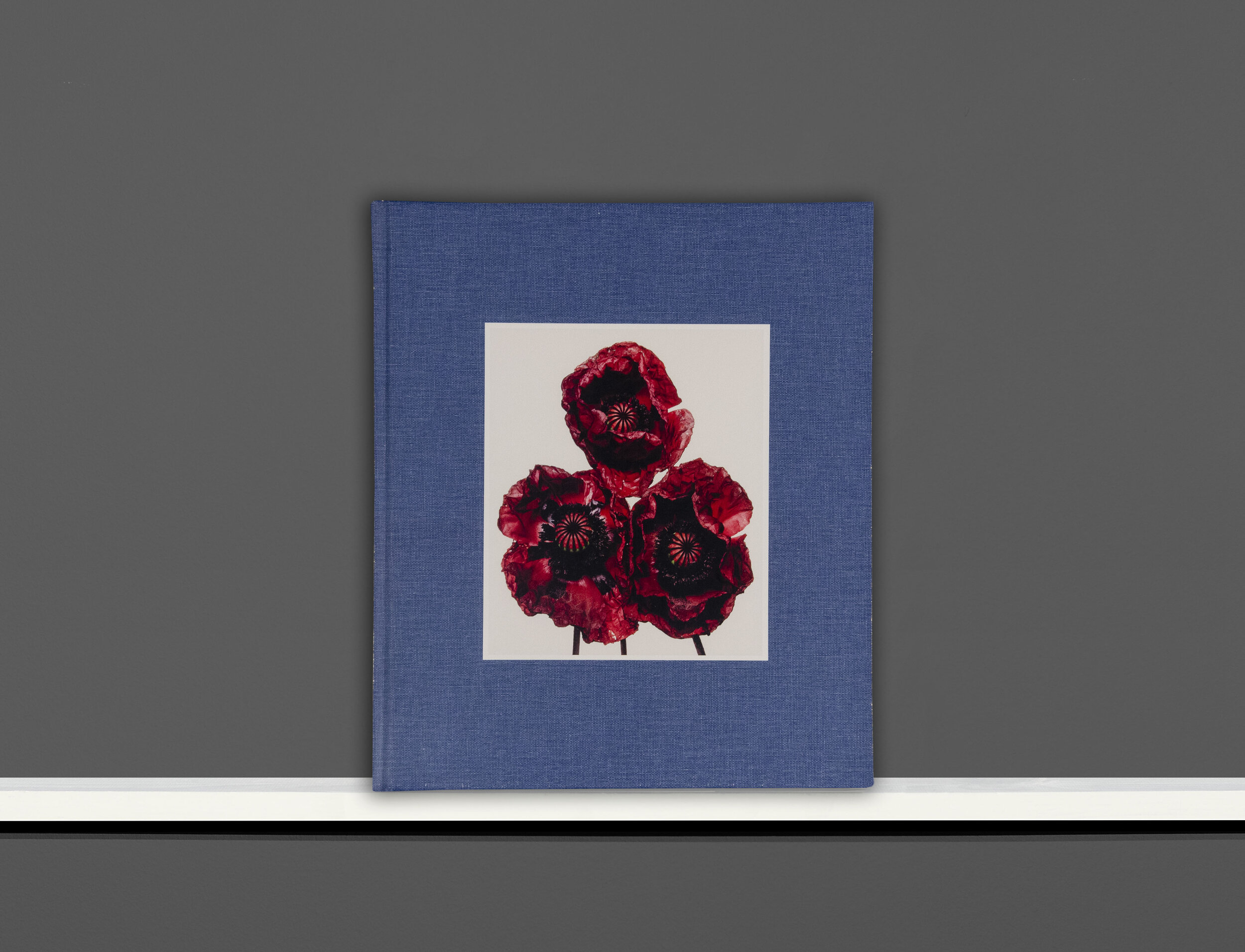 Irving Penn, Flowers, Special Edition — Hamiltons Gallery Shop